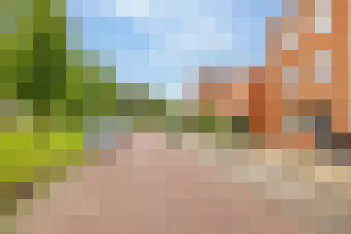 Keizersmantel 50 Hoogeveen thumbnail 50