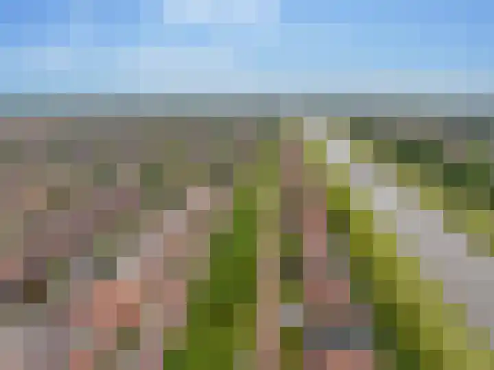 Keizersmantel 50 Hoogeveen thumbnail 51