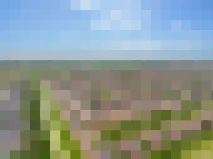 Keizersmantel 50 Hoogeveen thumbnail 52