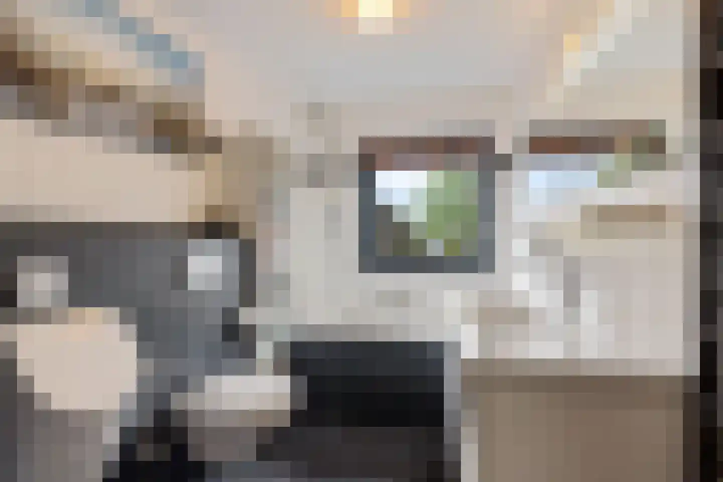 Keizersmantel 513 Sneek thumbnail 15
