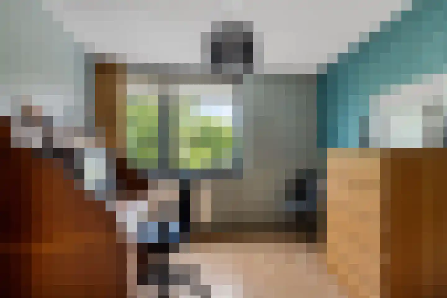 Keizersmantel 513 Sneek thumbnail 17
