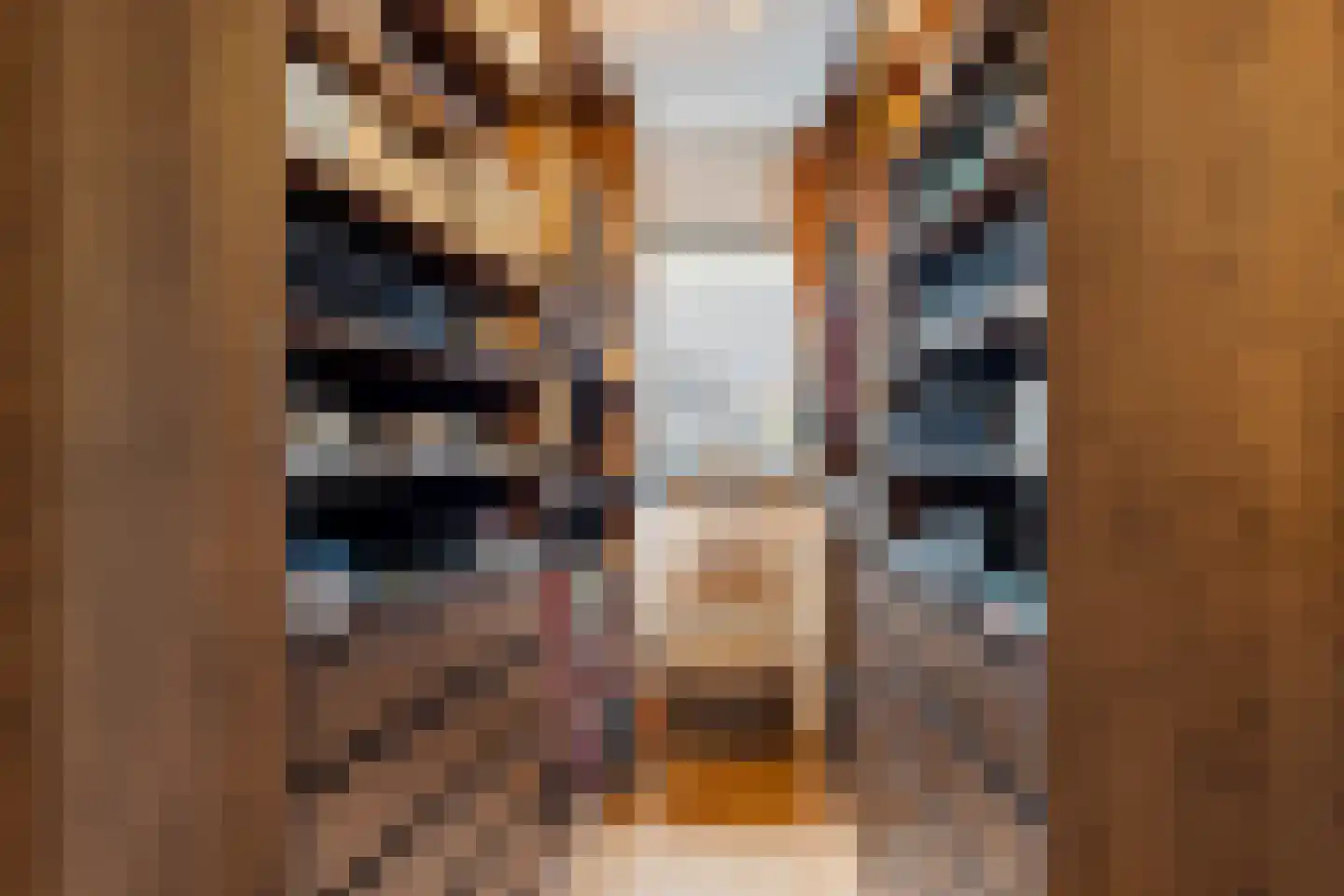 Keizersmantel 513 Sneek thumbnail 20