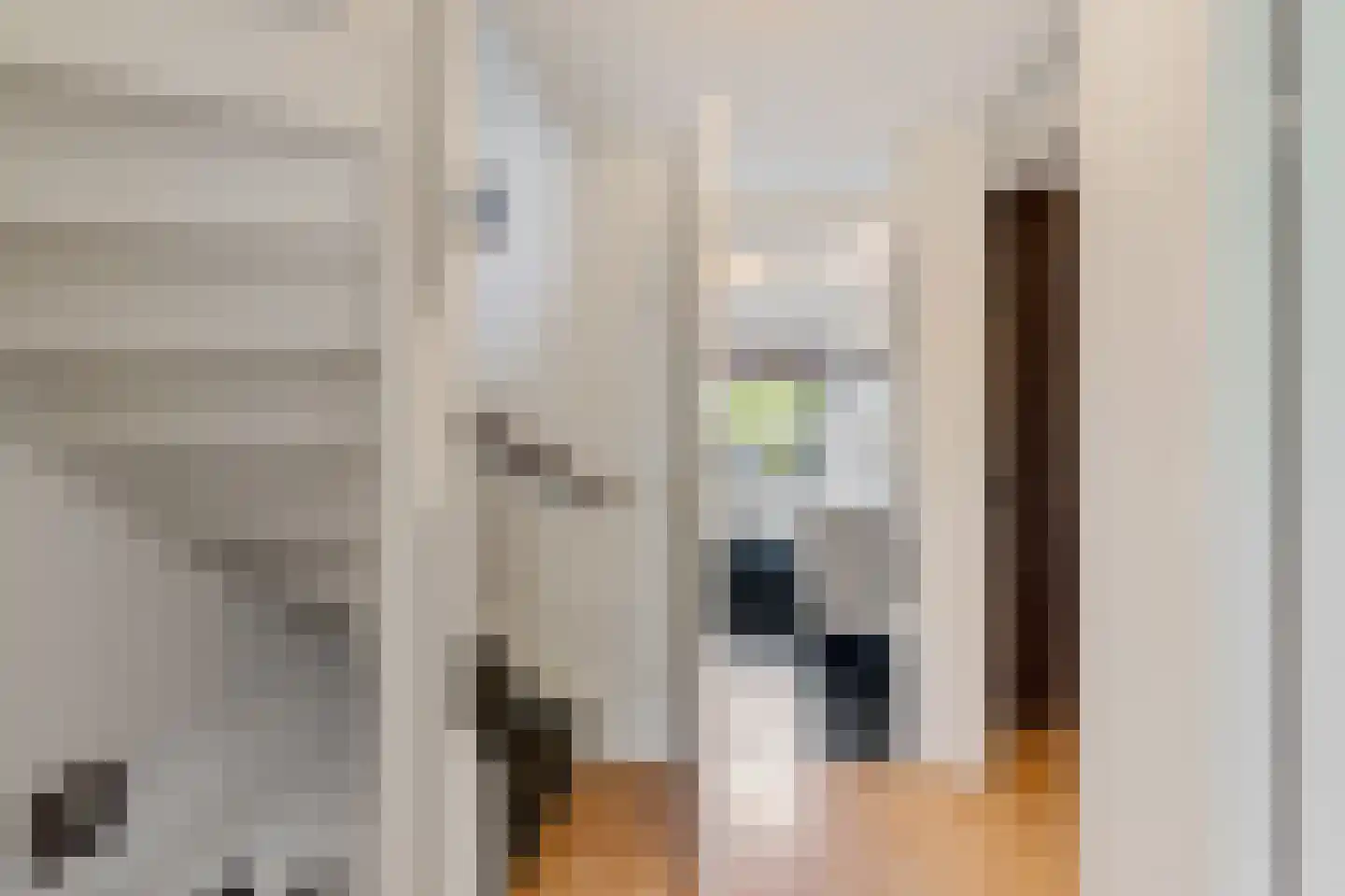 Keizersmantel 513 Sneek thumbnail 21