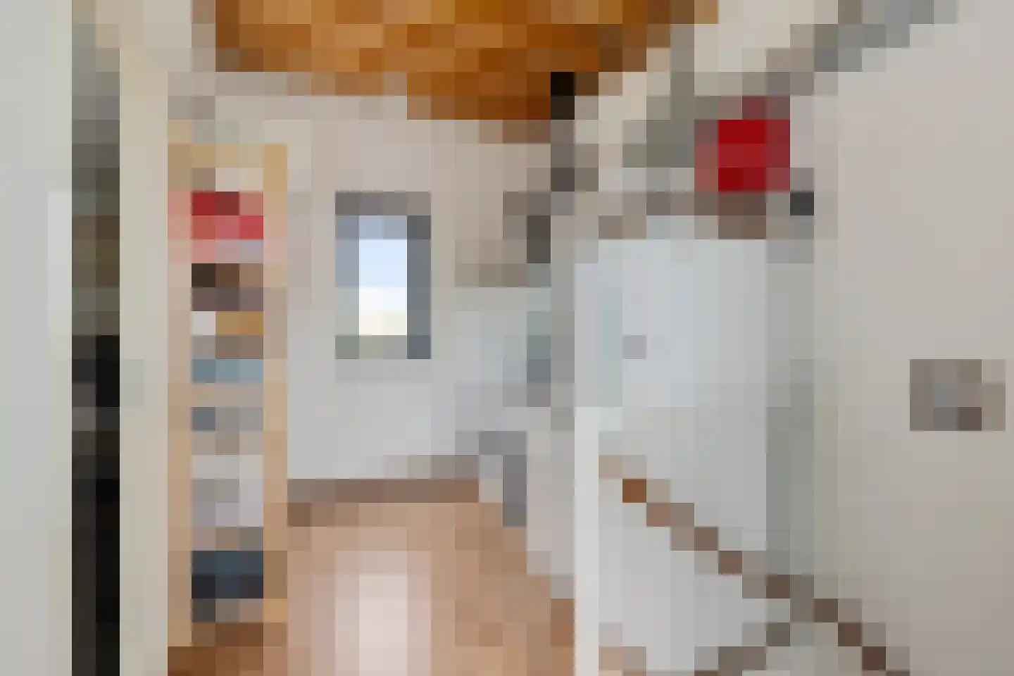 Keizersmantel 513 Sneek thumbnail 28