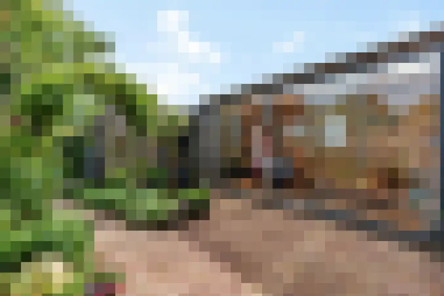 Keizersmantel 513 Sneek thumbnail 29