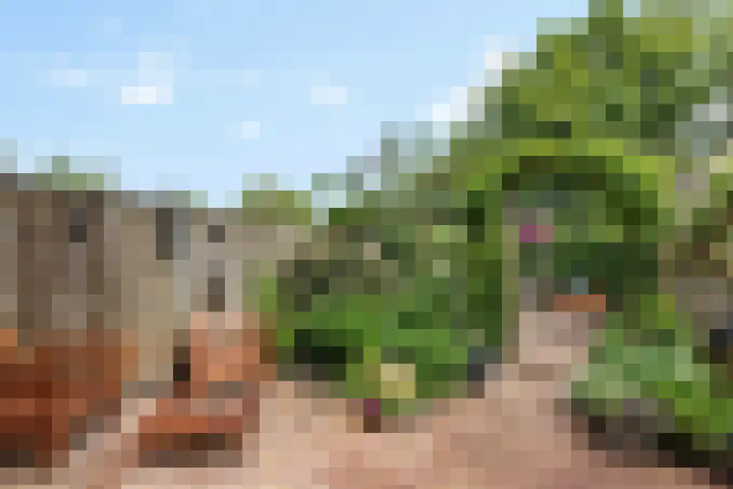 Keizersmantel 513 Sneek thumbnail 33