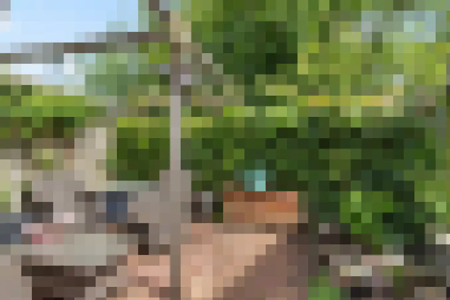 Keizersmantel 513 Sneek thumbnail 34