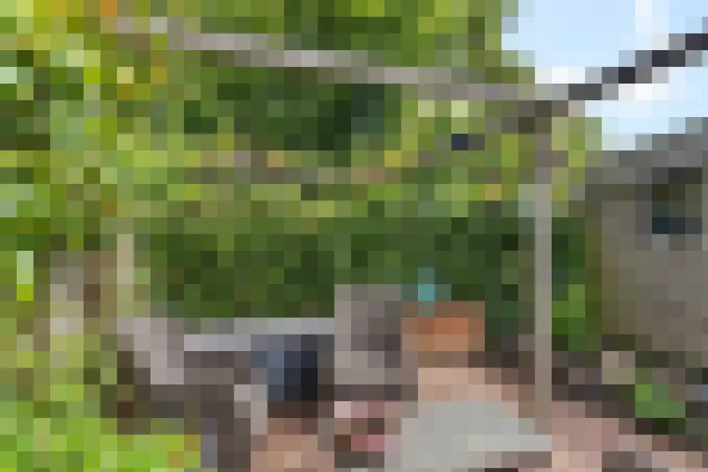 Keizersmantel 513 Sneek thumbnail 36
