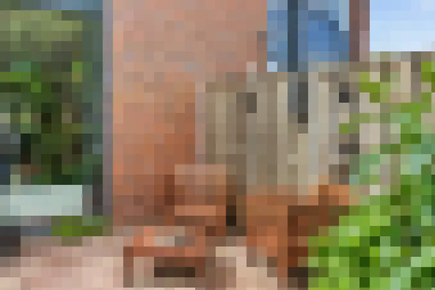 Keizersmantel 513 Sneek thumbnail 37