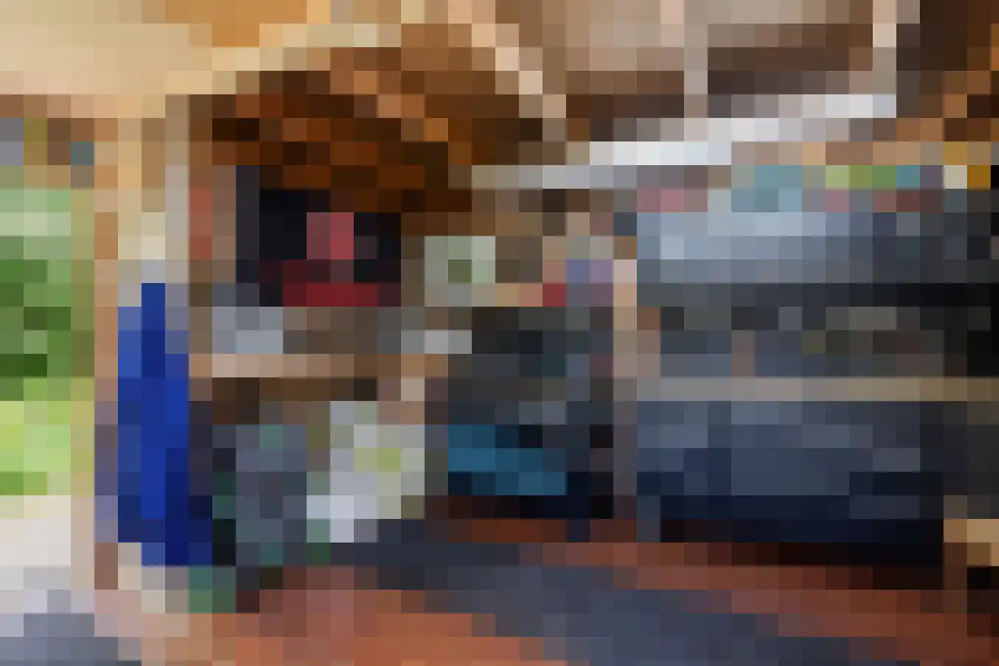 Keizersmantel 513 Sneek thumbnail 41