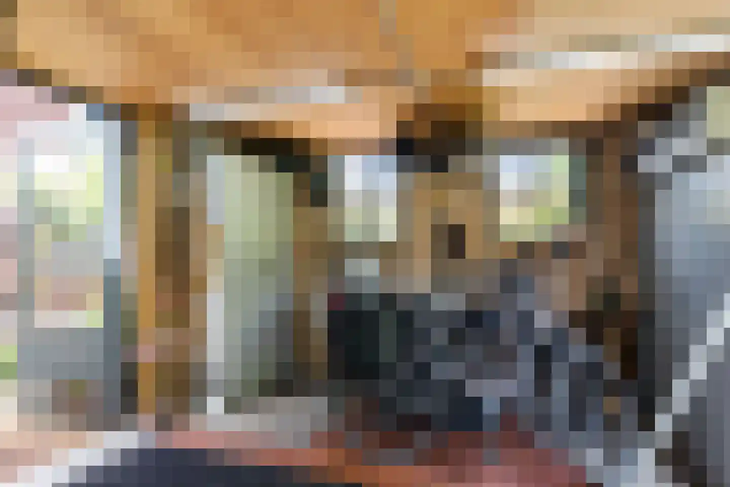 Keizersmantel 513 Sneek thumbnail 42