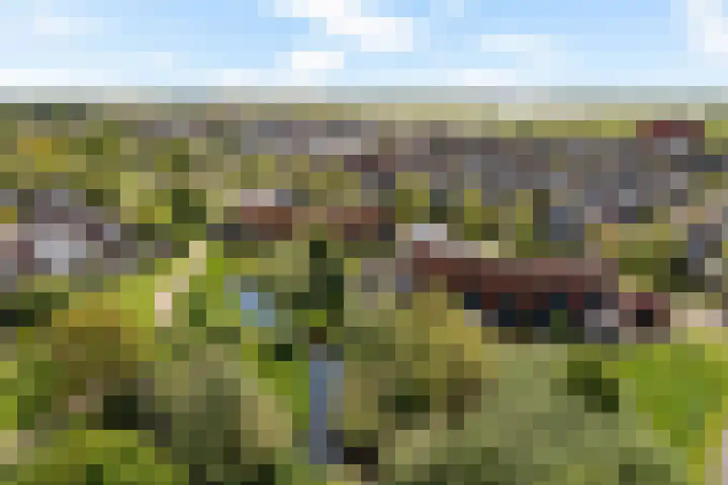 Keizersmantel 513 Sneek thumbnail 49
