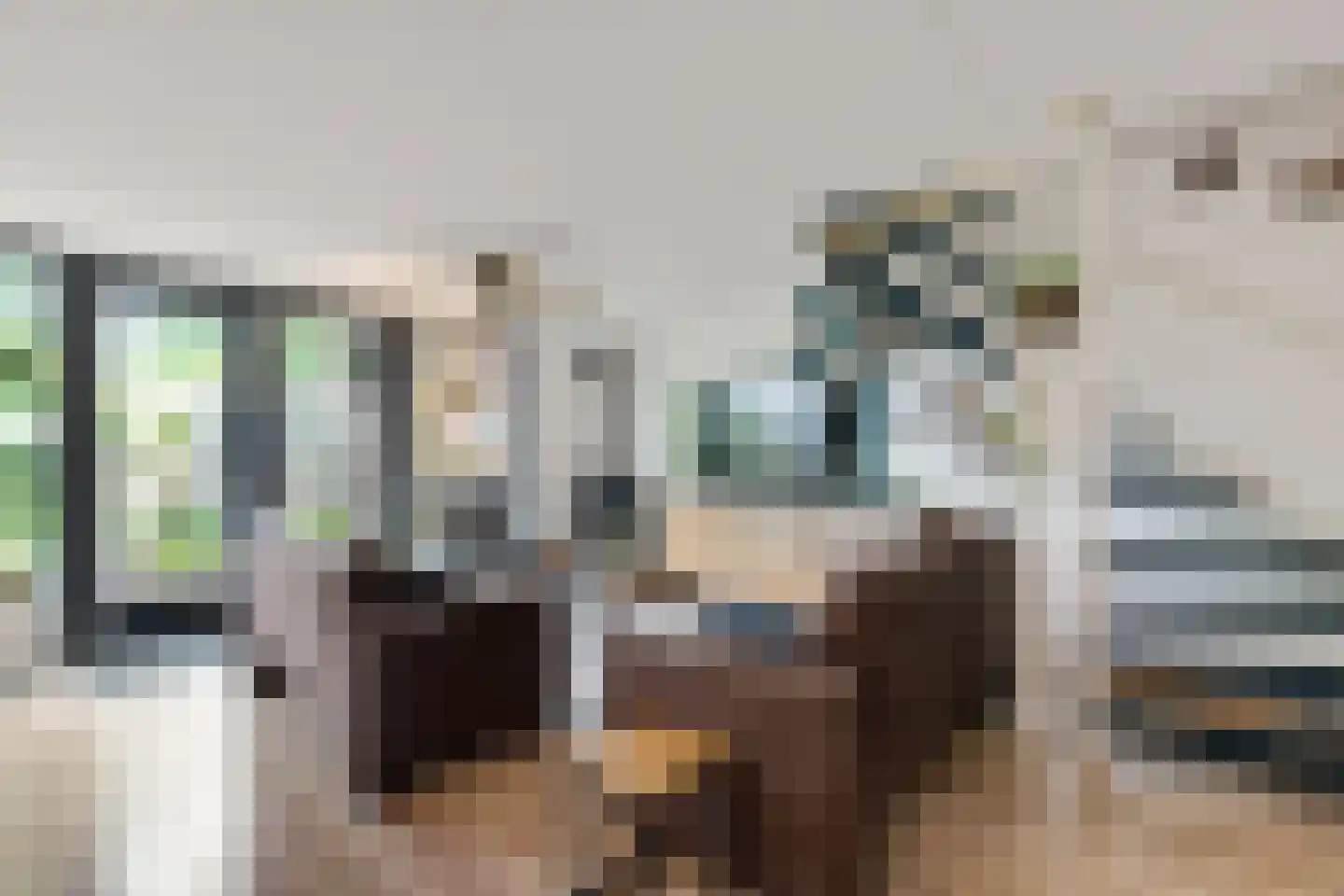 Keizersmantel 513 Sneek thumbnail 5