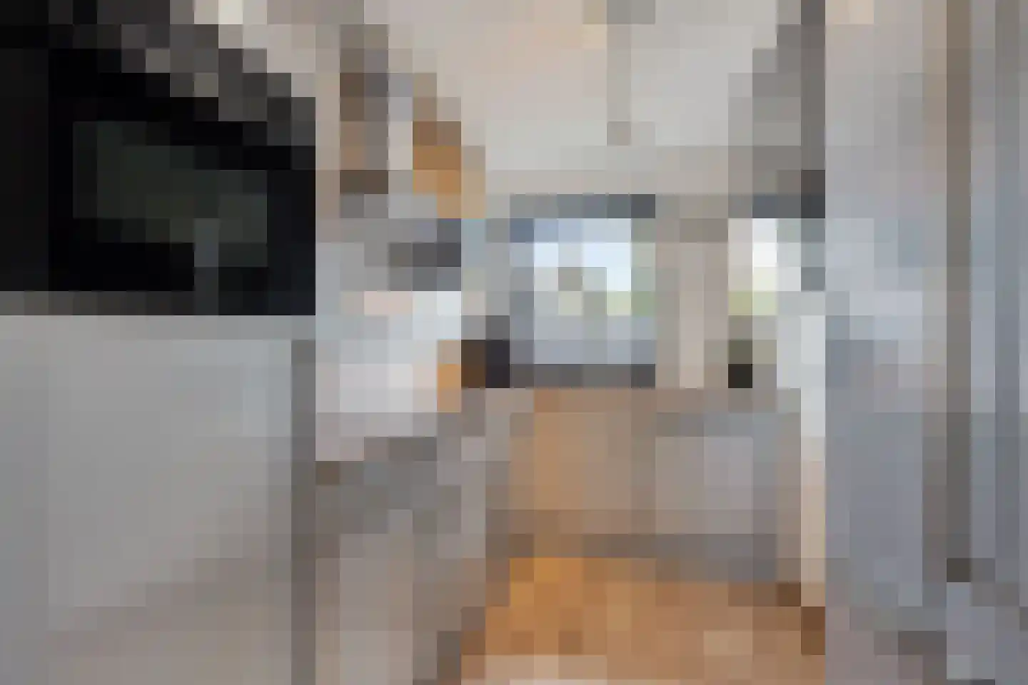 Keizersmantel 513 Sneek thumbnail 9