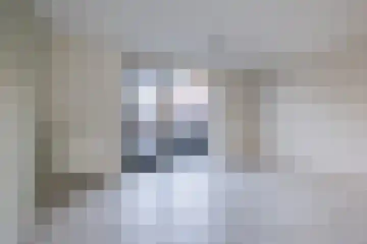 Keizersmantel 60 Hoogeveen thumbnail 4