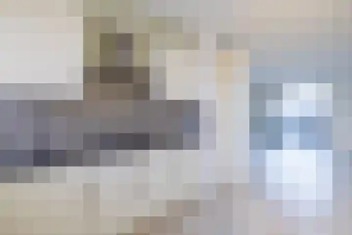 Keizersmantel 60 Hoogeveen thumbnail 7