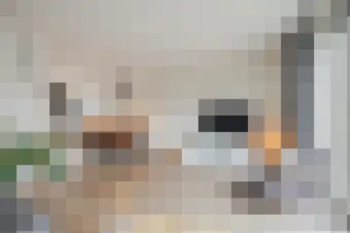 Keizersmantel 64 Hoogeveen thumbnail 12
