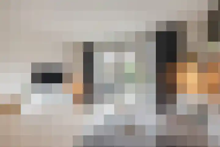 Keizersmantel 64 Hoogeveen thumbnail 13