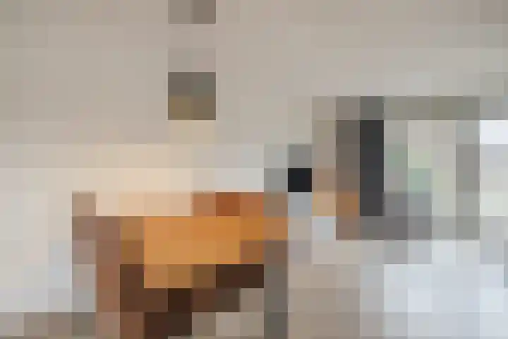 Keizersmantel 64 Hoogeveen thumbnail 14