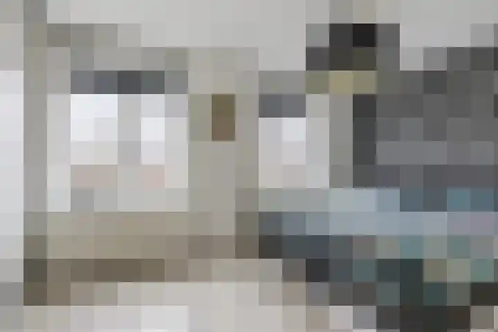 Keizersmantel 64 Hoogeveen thumbnail 22