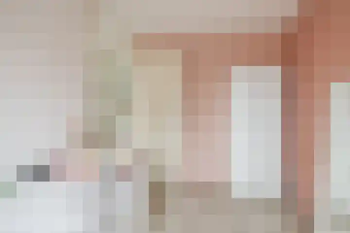 Keizersmantel 64 Hoogeveen thumbnail 28