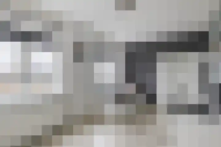 Keizersmantel 64 Hoogeveen thumbnail 35