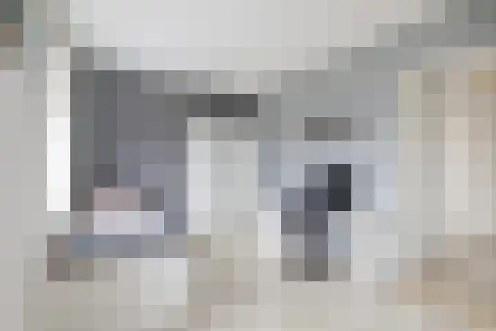 Keizersmantel 64 Hoogeveen thumbnail 36