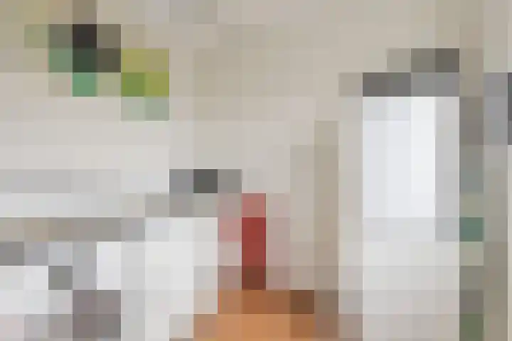 Keizersmantel 64 Hoogeveen thumbnail 38