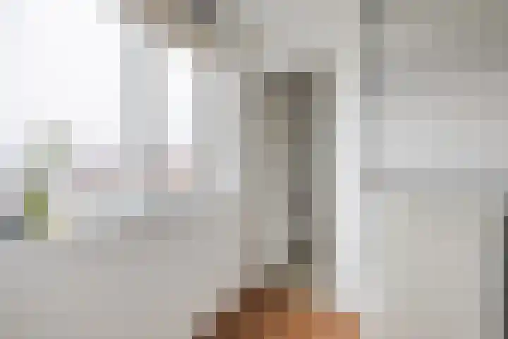 Keizersmantel 64 Hoogeveen thumbnail 39