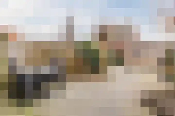 Keizersmantel 64 Hoogeveen thumbnail 41