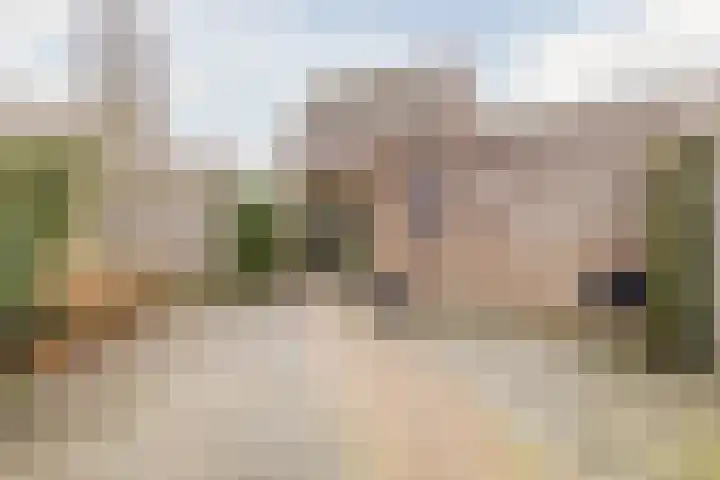 Keizersmantel 64 Hoogeveen thumbnail 42