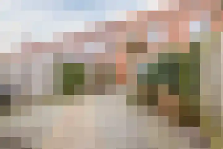 Keizersmantel 64 Hoogeveen thumbnail 46