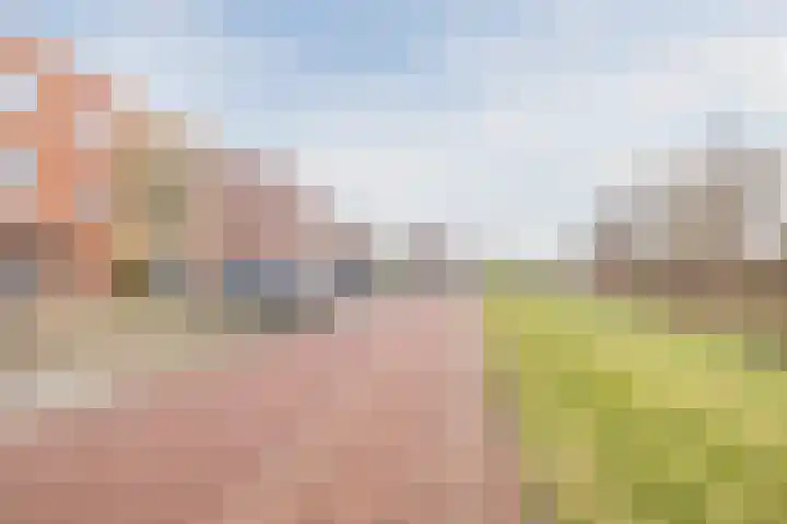 Keizersmantel 64 Hoogeveen thumbnail 5