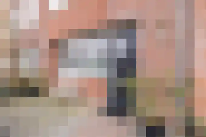 Keizersmantel 64 Hoogeveen thumbnail 6