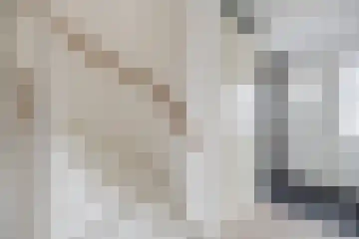 Keizersmantel 64 Hoogeveen thumbnail 8