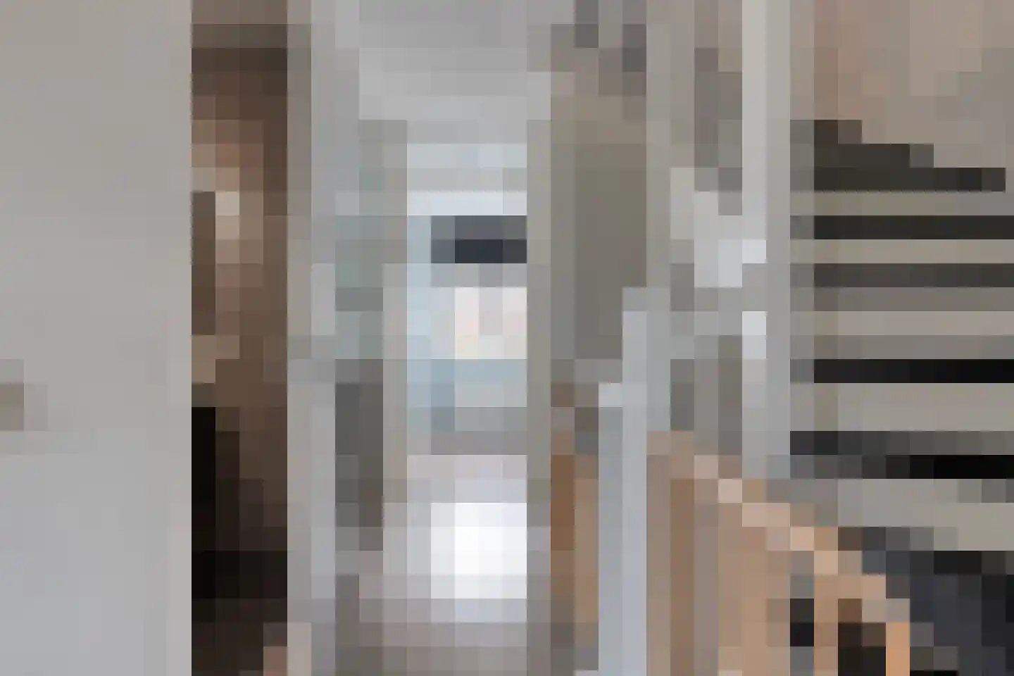 Keizersmantel 68 Hoogeveen thumbnail 18