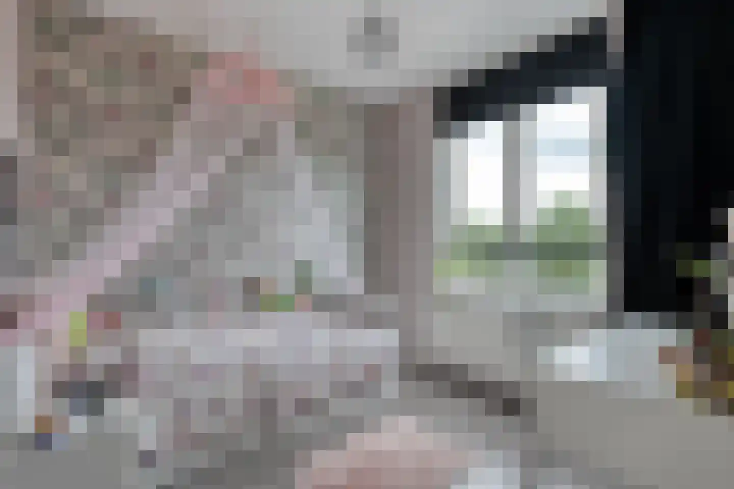 Keizersmantel 68 Hoogeveen thumbnail 35
