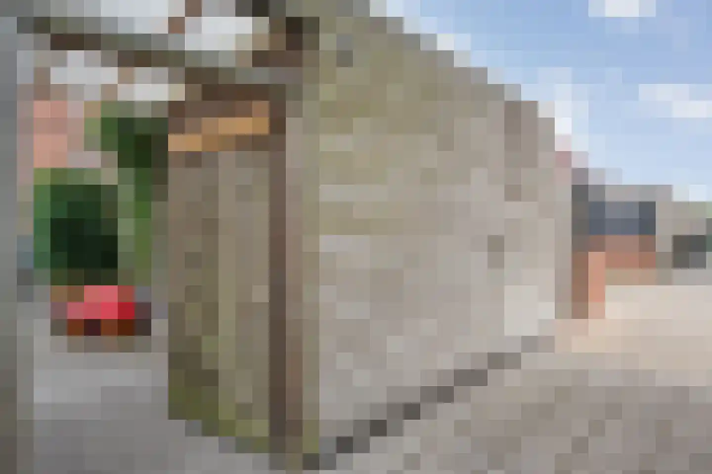 Keizersmantel 68 Hoogeveen thumbnail 46