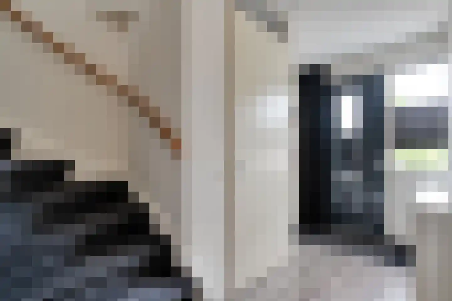 Keizersmantel 68 Hoogeveen thumbnail 7