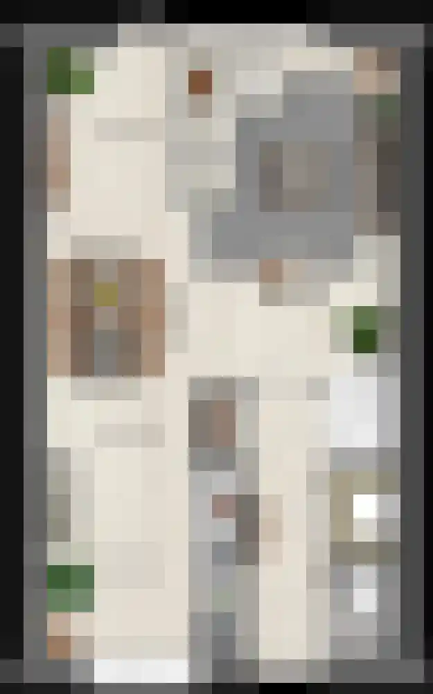 Keizersmantel 7 Driebruggen thumbnail 4