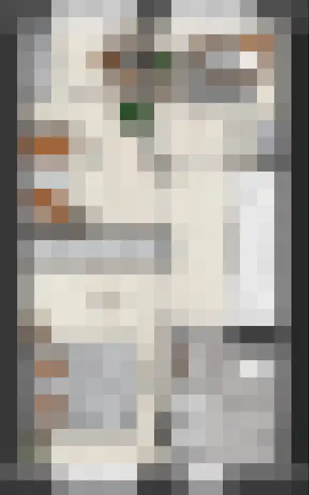 Keizersmantel 7 Driebruggen thumbnail 5