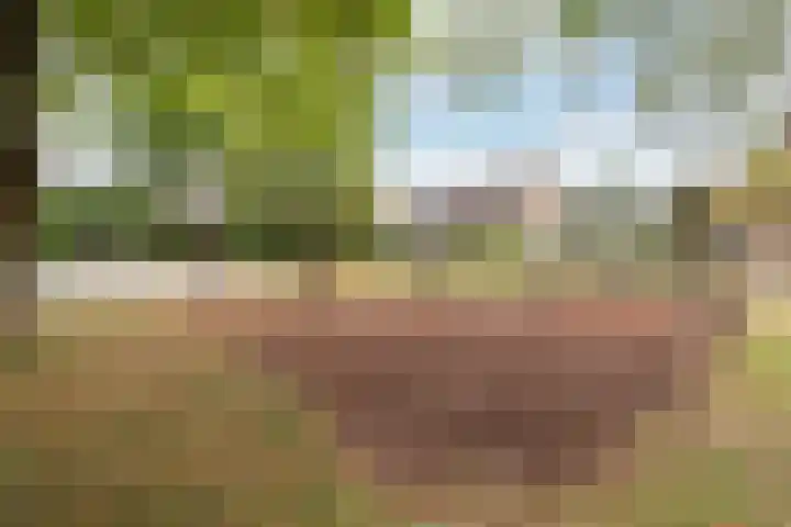 Keizersmantel 8 Beekbergen thumbnail 37