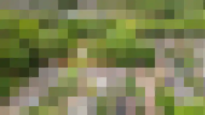 Keizersmantel 8 Beekbergen thumbnail 4
