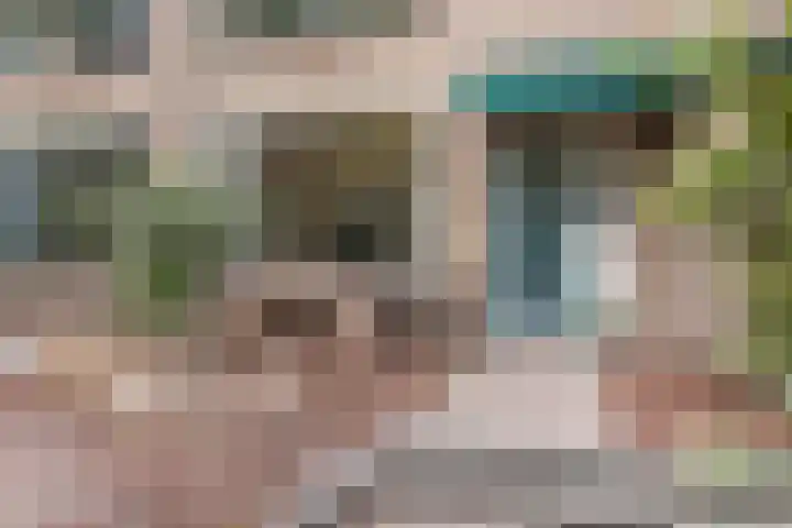 Keizersmantel 8 Beekbergen thumbnail 5