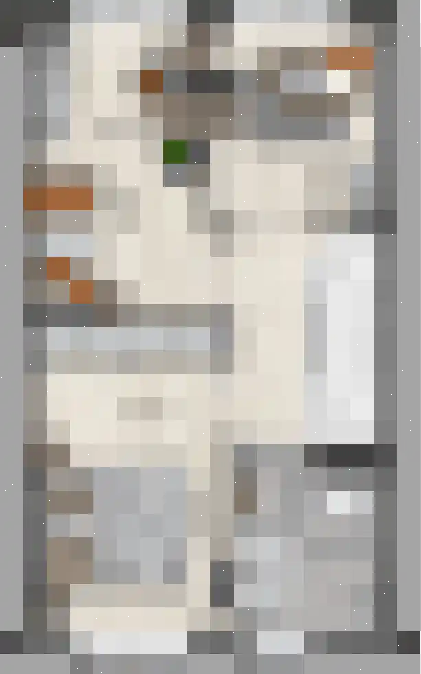 Keizersmantel 8 Driebruggen thumbnail 5