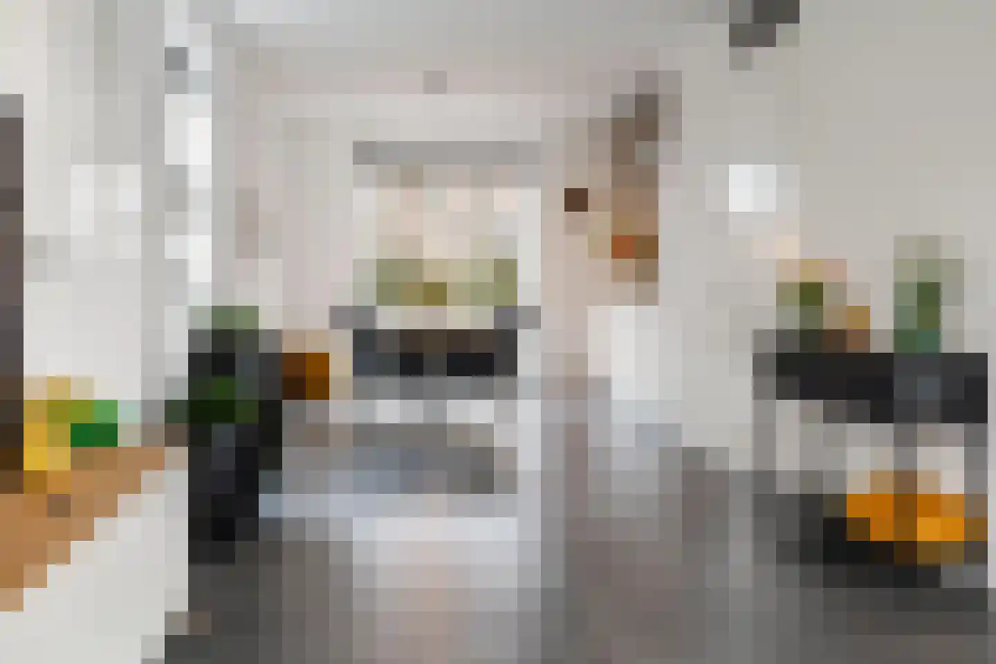 Keizersmantel 8 Hoogeveen thumbnail 10