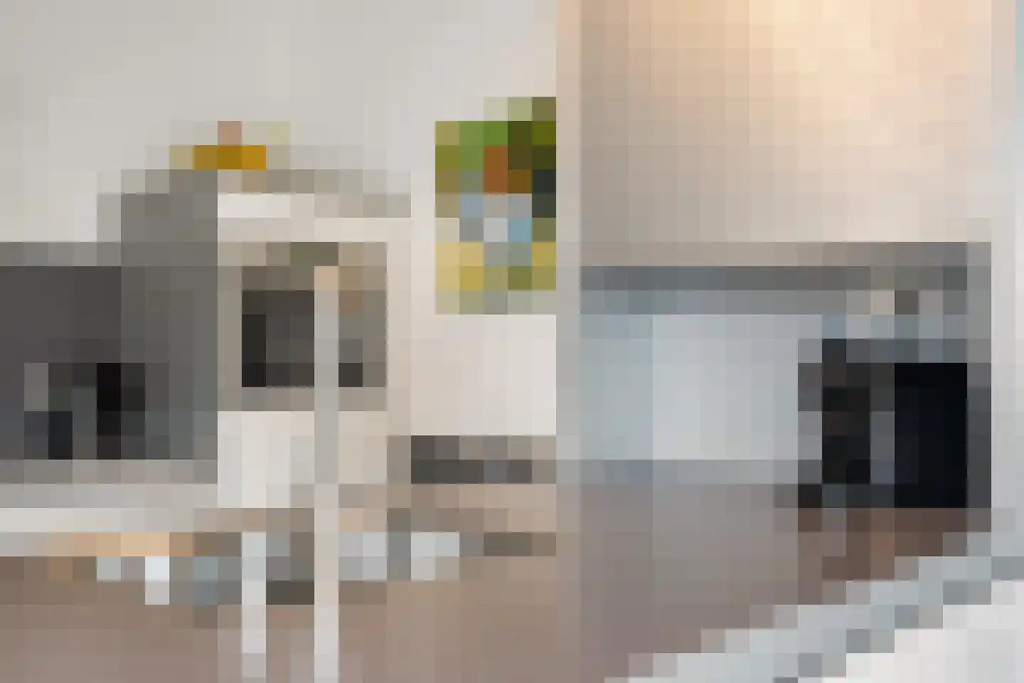 Keizersmantel 8 Hoogeveen thumbnail 15
