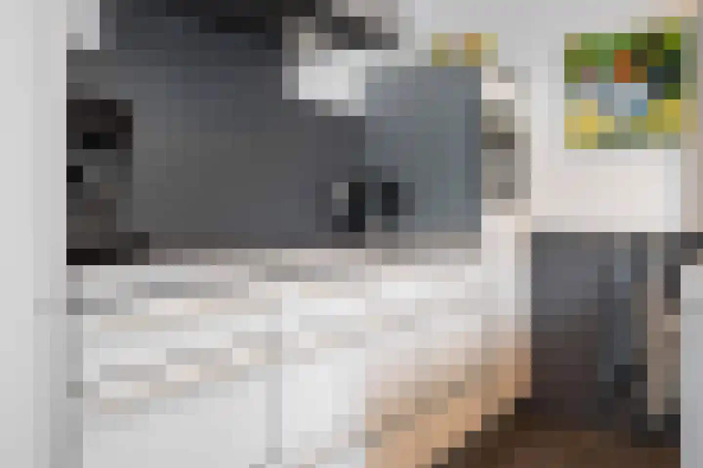 Keizersmantel 8 Hoogeveen thumbnail 16