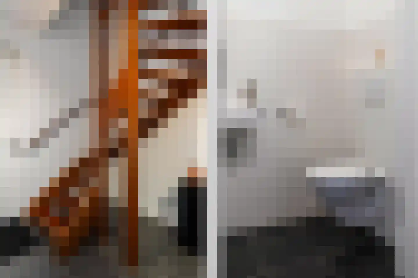 Keizersmantel 8 Hoogeveen thumbnail 20