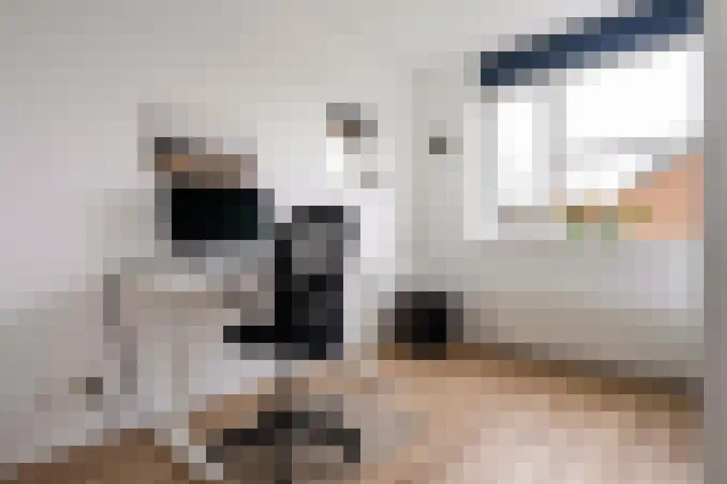 Keizersmantel 8 Hoogeveen thumbnail 22